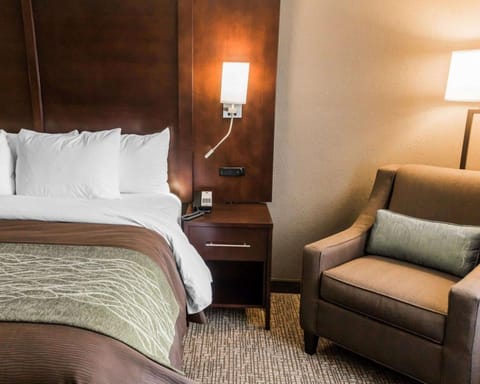 Comfort Inn & Suites Pharr/McAllen Hotel in Pharr