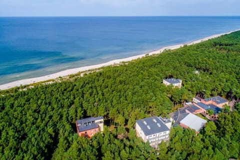 Bird's eye view, Beach