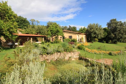 Property building, Garden, Garden view