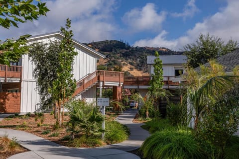 Natural landscape, Garden view, Mountain view