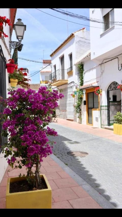 Estepona port Apartment in Estepona