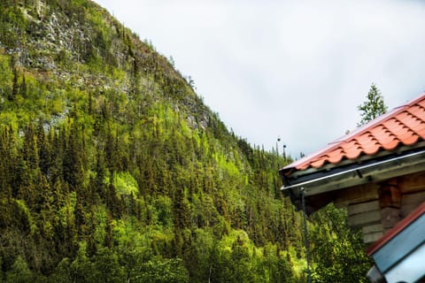 Timmervillan Nature lodge in Innlandet