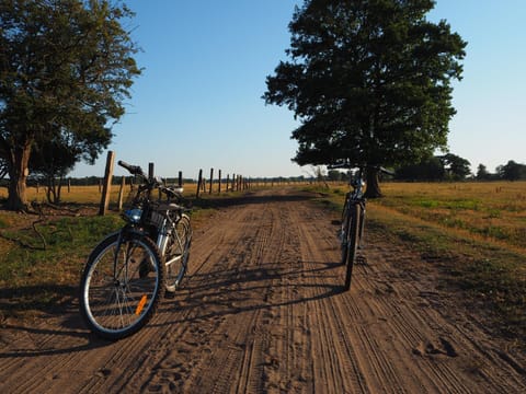 Activities, Cycling