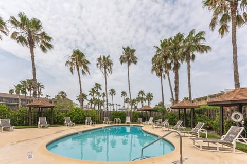 South Padre Island Gulf Getaway With Pool Condo Condo in South Padre Island