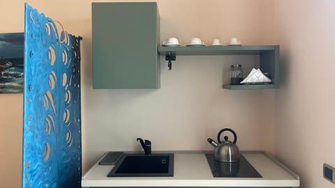 Kitchen or kitchenette, kitchen