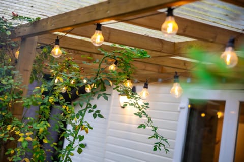 Patio, Day, Garden, Garden view