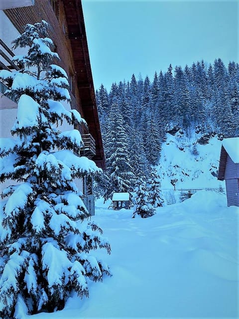 Property building, Natural landscape, Winter