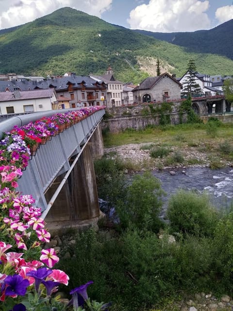 BIESCAS-PIRINEO-RELAX Apartamento in Biescas