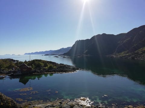 Lofotveggen Panorama Capanno nella natura in Lofoten