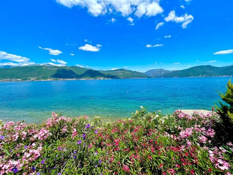 Garden, Sea view, Sea view