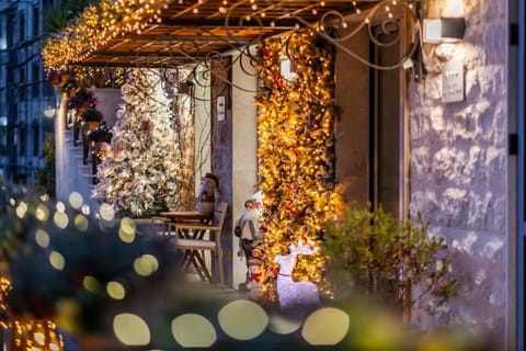 Property building, Night, Garden view