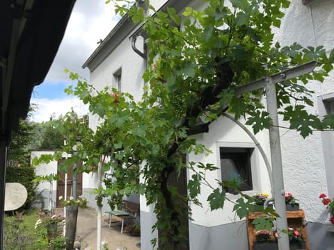 Ferienwohnung Lahnmündung Condo in Koblenz