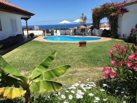 Garden, Pool view, Swimming pool