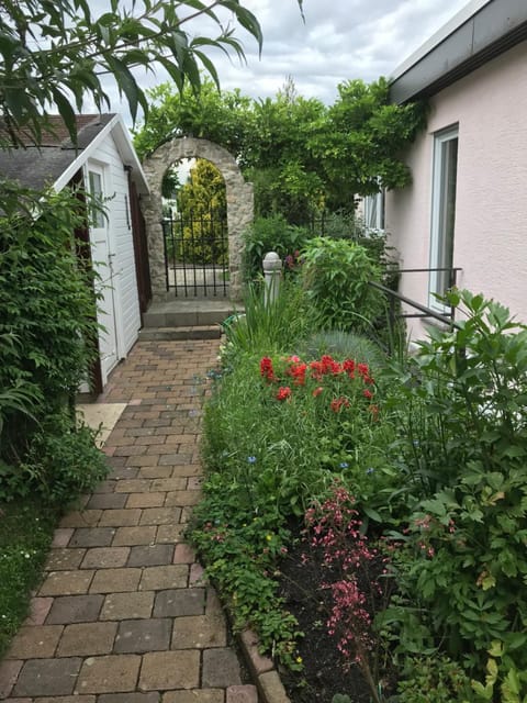 Property building, Garden, Garden view