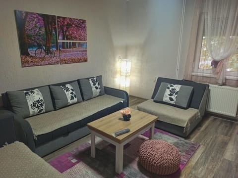 Apartman Centar Apartment in Novi Sad