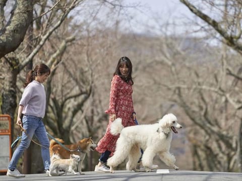 Pet & Spa Hotel Izukogen Hotel in Shizuoka Prefecture