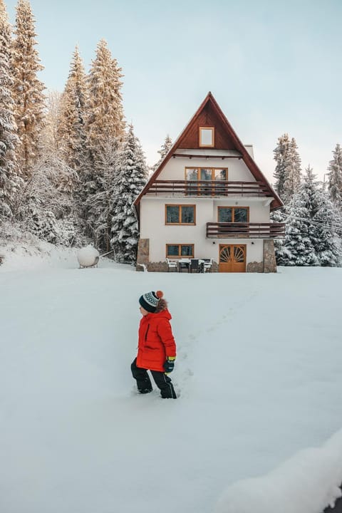 Winter, Garden