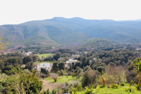 Villa I Bugni Apartment in Corsica