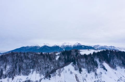 Natural landscape, Winter, Mountain view