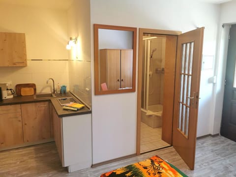 Ferienwohnung Oberlungwitz Condo in Chemnitz