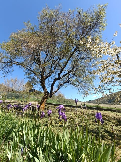 Agriturismo Terramia Farm Stay in Umbria