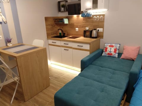 Willa Lazur Vacation rental in Pomeranian Voivodeship