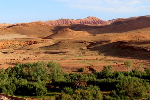 Tigmi Hamid Bed and Breakfast in Marrakesh-Safi