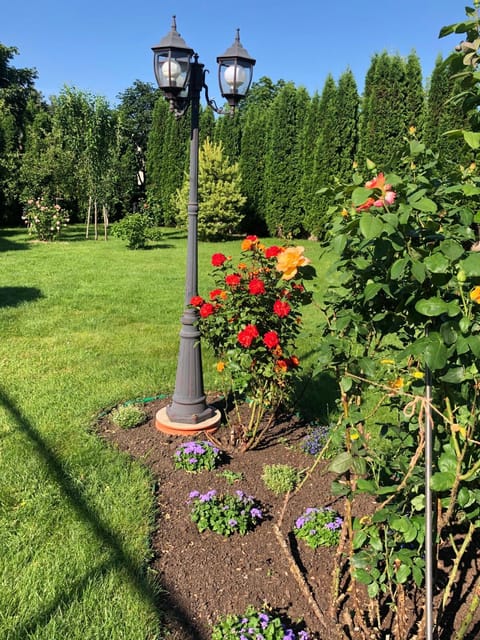 Garden, Garden view