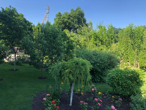 Garden, Garden view