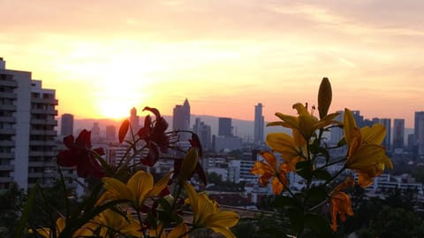 Balcony/Terrace, City view, Sunset