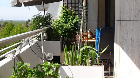 Property building, Restaurant/places to eat