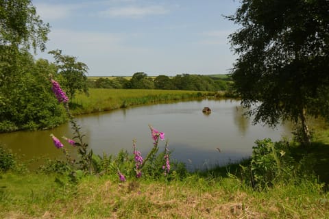 Garden, On site, Garden view, Lake view