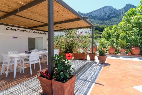 Patio, Balcony/Terrace