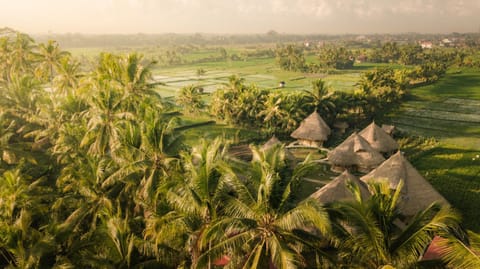 Property building, Day, Natural landscape