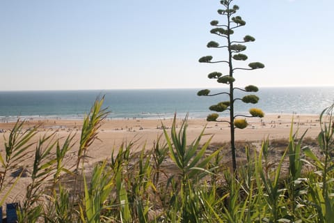 Natural landscape, Beach