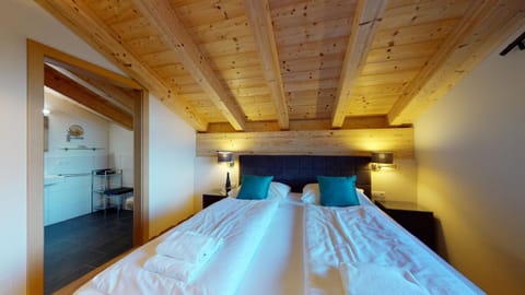 Apart-Chalet Kitzblick Chalet in Zell am See