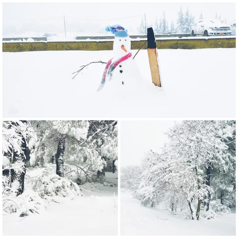 Winter, Garden view