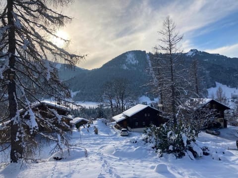 Appartement 2 pièces Rose de Noël Apartment in Canton of Vaud
