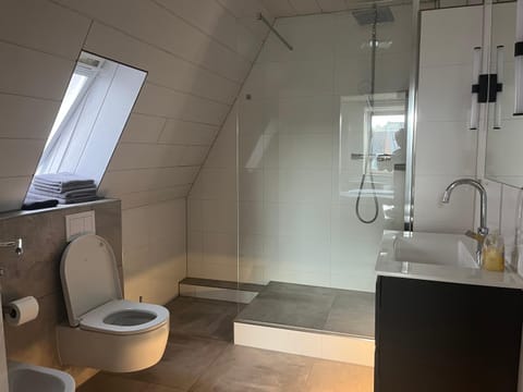 Shower, Toilet, Bathroom, bidet