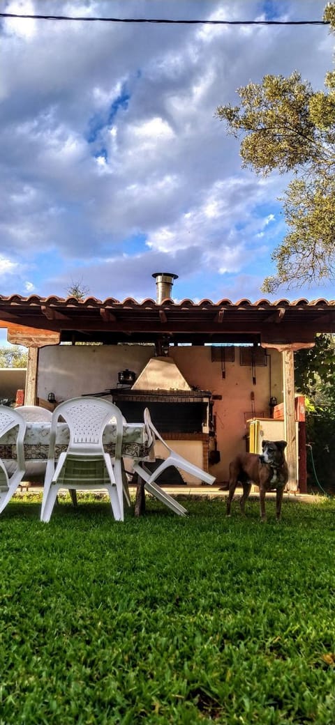 BBQ facilities, Garden