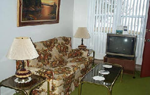 Living room, Photo of the whole room