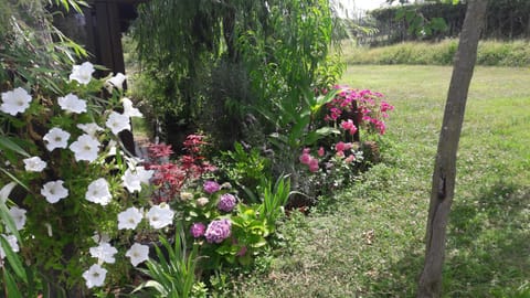 Dolci Ricordi Apartment in Livorno