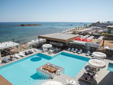 Enorme Ammos Beach Resort Hotel in Malia, Crete