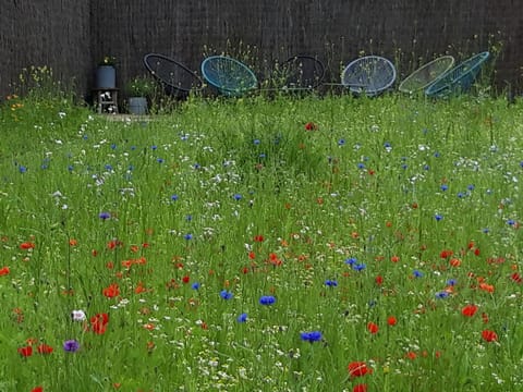 Garden, Balcony/Terrace