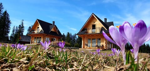 Property building, Spring, Natural landscape, Garden, Garden view