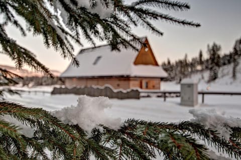 Day, Natural landscape, Winter