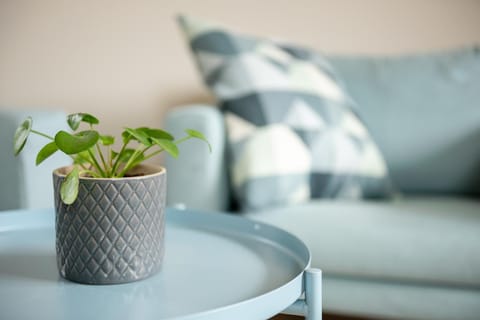 B&B Hof Beygaert Bed and Breakfast in Flanders