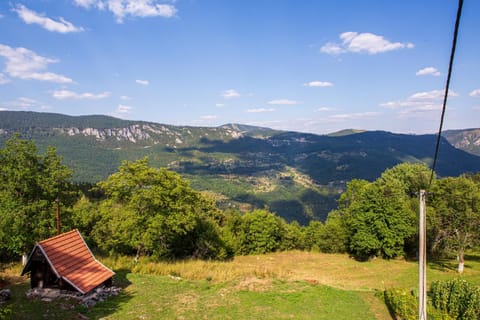 Natural landscape, Garden, Garden view