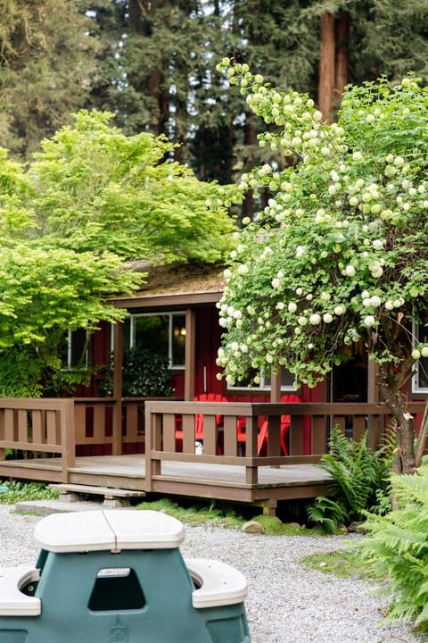 Property building, Natural landscape, Garden view