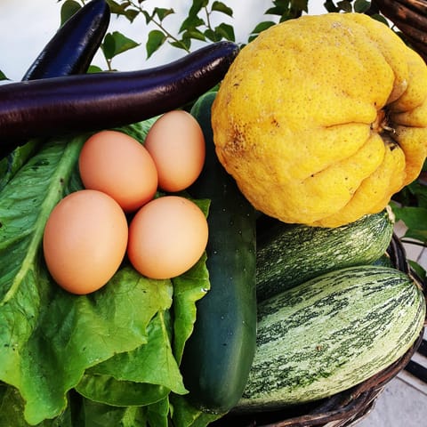 Oasi di Villa Damecuta Alojamiento y desayuno in Anacapri